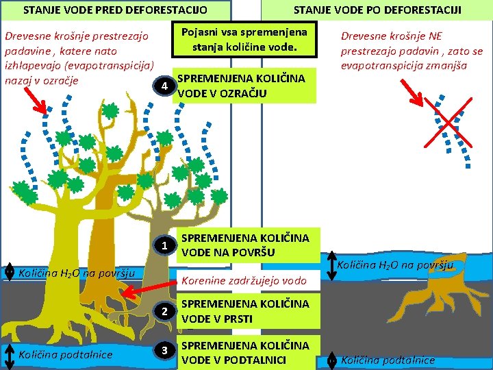 STANJE VODE PRED DEFORESTACIJO STANJE VODE PO DEFORESTACIJI Pojasni vsa spremenjena Drevesne krošnje prestrezajo