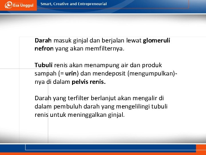 Darah masuk ginjal dan berjalan lewat glomeruli nefron yang akan memfilternya. Tubuli renis akan