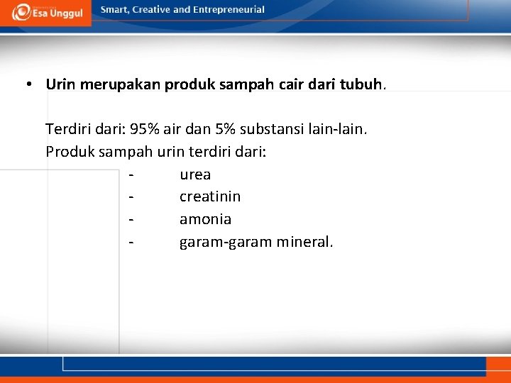  • Urin merupakan produk sampah cair dari tubuh. Terdiri dari: 95% air dan