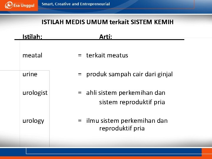 ISTILAH MEDIS UMUM terkait SISTEM KEMIH Istilah; Arti: meatal = terkait meatus urine =