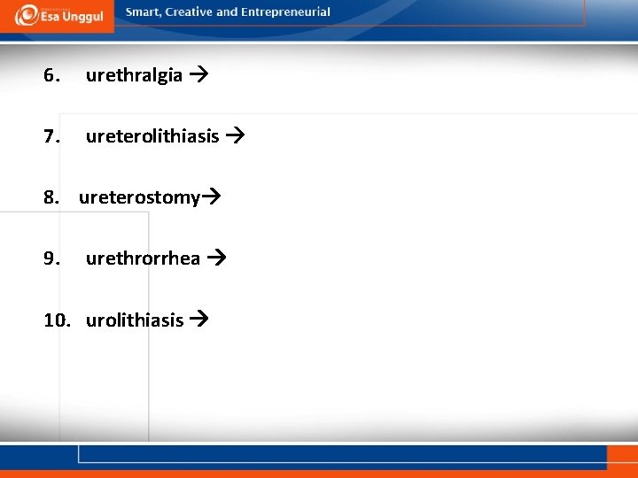 6. urethralgia 7. ureterolithiasis 8. ureterostomy 9. urethrorrhea 10. urolithiasis 