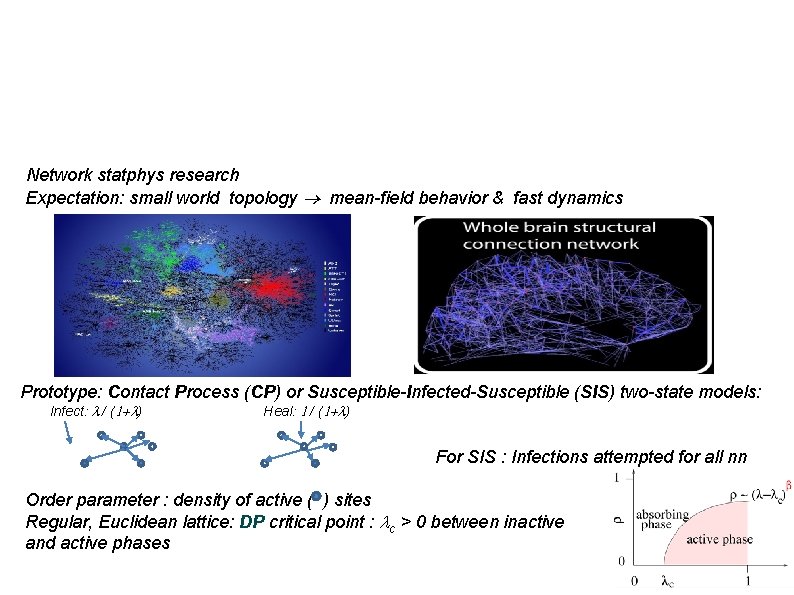 Spectral analysis and slow dynamics on quenched complex