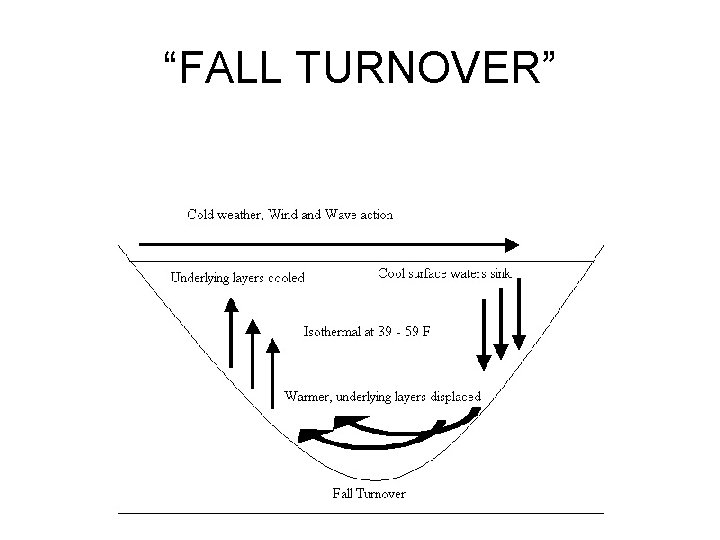 “FALL TURNOVER” 