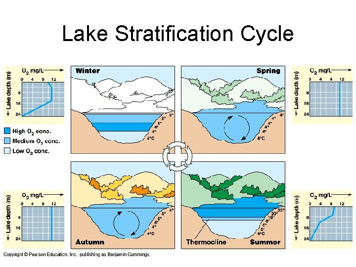 Lake Stratification Cycle 