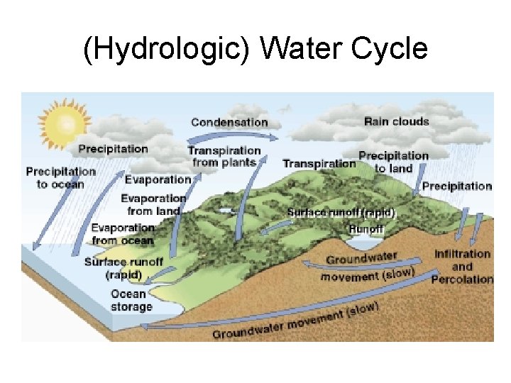 (Hydrologic) Water Cycle 