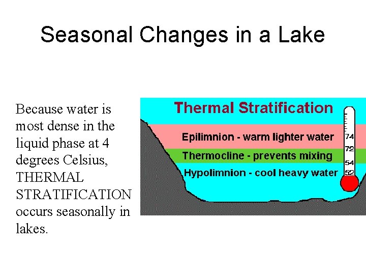 Seasonal Changes in a Lake Because water is most dense in the liquid phase