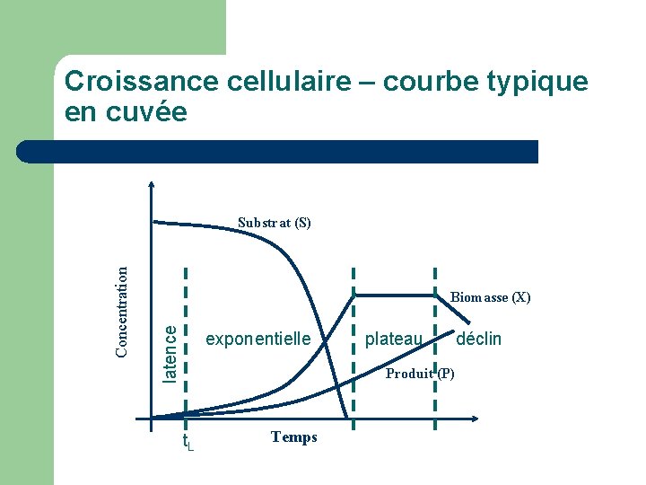 Croissance cellulaire – courbe typique en cuvée Biomasse (X) latence Concentration Substrat (S) exponentielle