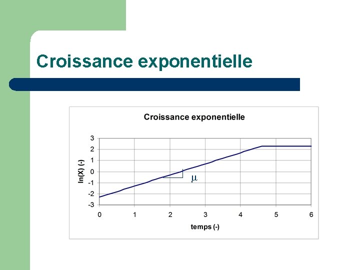 Croissance exponentielle 