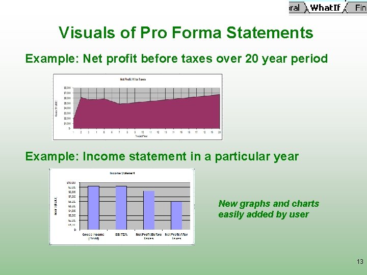 Visuals of Pro Forma Statements Example: Net profit before taxes over 20 year period