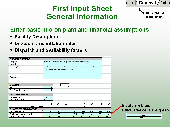 First Input Sheet General Information RELCOST Tab of screen shot Enter basic info on