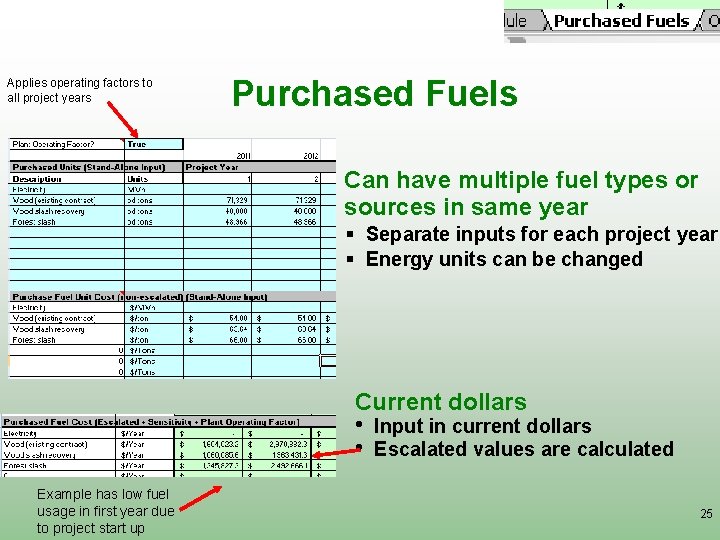 Applies operating factors to all project years Purchased Fuels Can have multiple fuel types