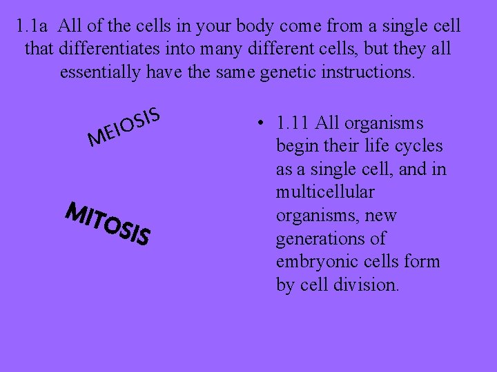 1. 1 a All of the cells in your body come from a single