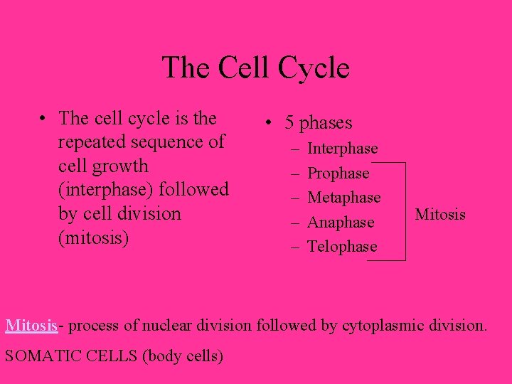 The Cell Cycle • The cell cycle is the repeated sequence of cell growth