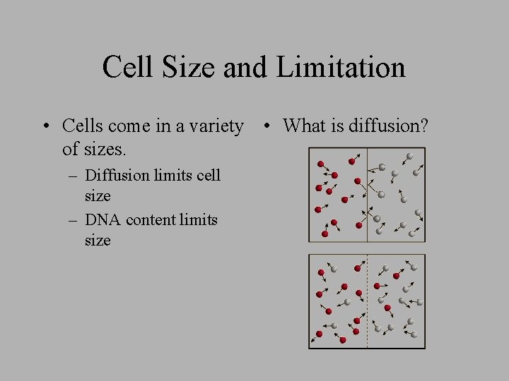 Cell Size and Limitation • Cells come in a variety • What is diffusion?