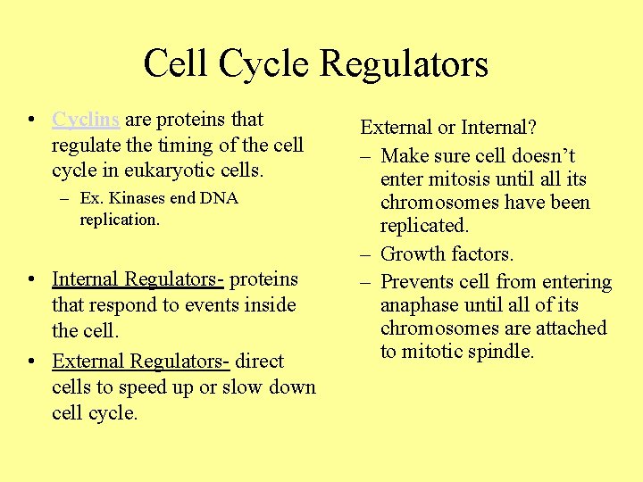 Cell Cycle Regulators • Cyclins are proteins that regulate the timing of the cell