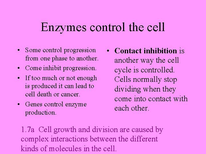 Enzymes control the cell • Some control progression from one phase to another. •