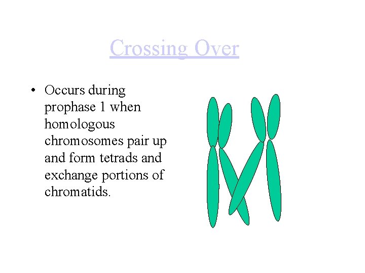 Crossing Over • Occurs during prophase 1 when homologous chromosomes pair up and form