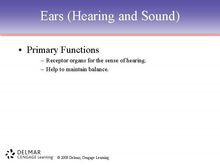 Ears (Hearing and Sound) • Primary Functions – Receptor organs for the sense of