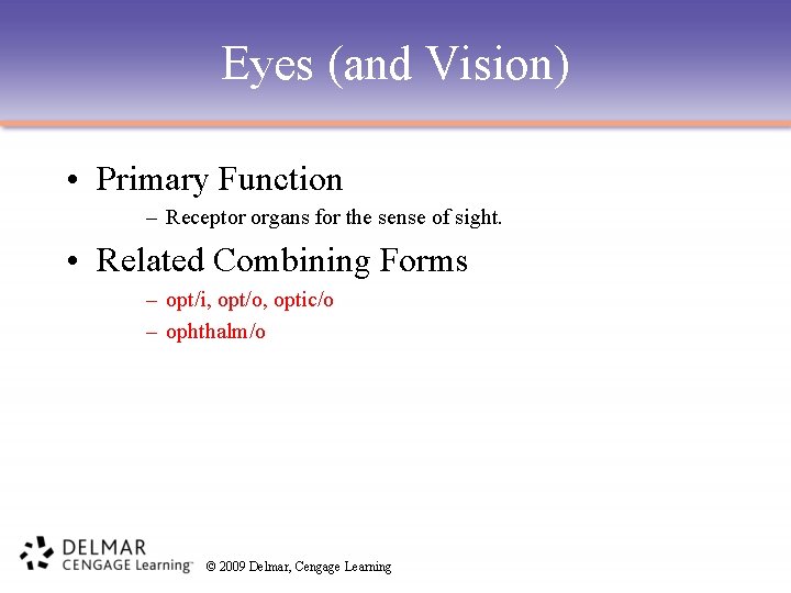 Eyes (and Vision) • Primary Function – Receptor organs for the sense of sight.