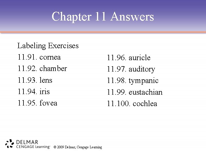 Chapter 11 Answers Labeling Exercises 11. 91. cornea 11. 92. chamber 11. 93. lens
