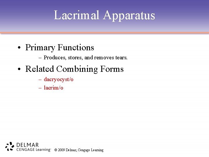 Lacrimal Apparatus • Primary Functions – Produces, stores, and removes tears. • Related Combining