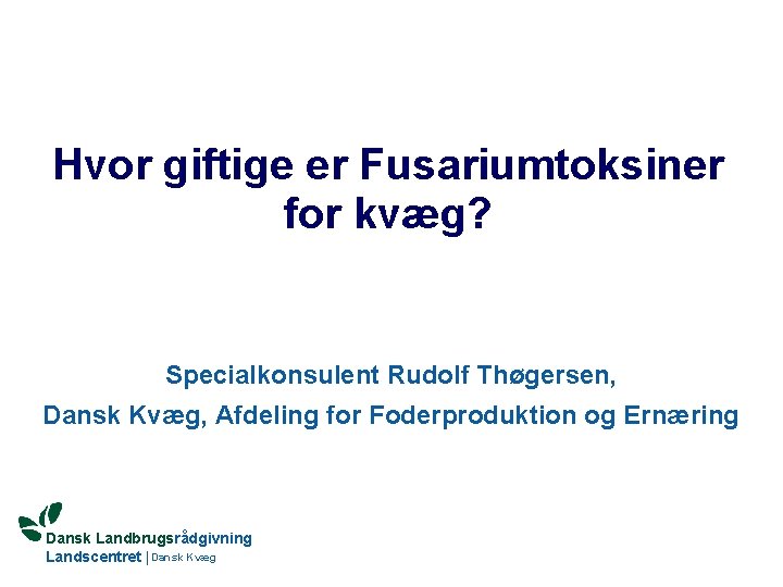 Hvor giftige er Fusariumtoksiner for kvæg? Specialkonsulent Rudolf Thøgersen, Dansk Kvæg, Afdeling for Foderproduktion