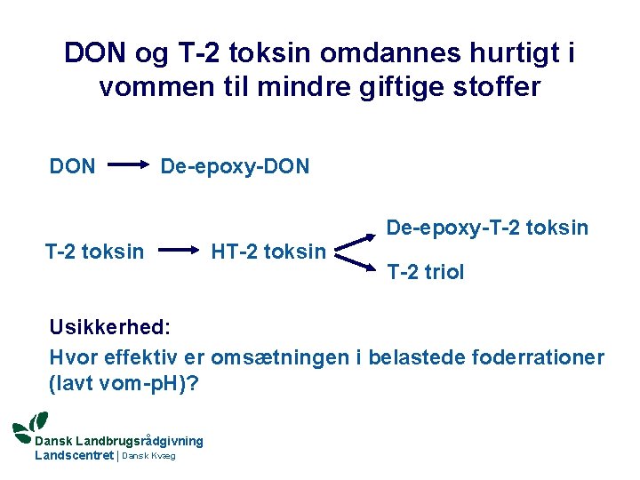 DON og T-2 toksin omdannes hurtigt i vommen til mindre giftige stoffer DON De-epoxy-T-2