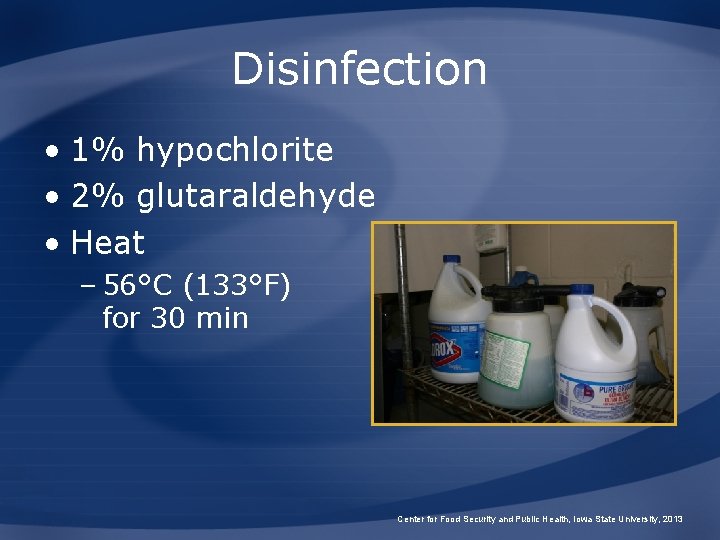 Disinfection • 1% hypochlorite • 2% glutaraldehyde • Heat – 56°C (133°F) for 30