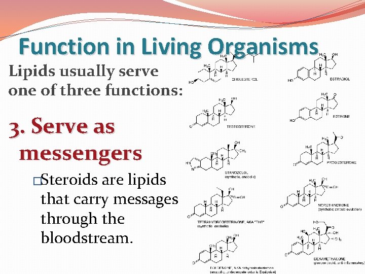 Function in Living Organisms Lipids usually serve one of three functions: 3. Serve as