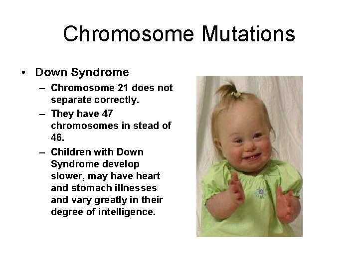 Chromosome Mutations • Down Syndrome – Chromosome 21 does not separate correctly. – They