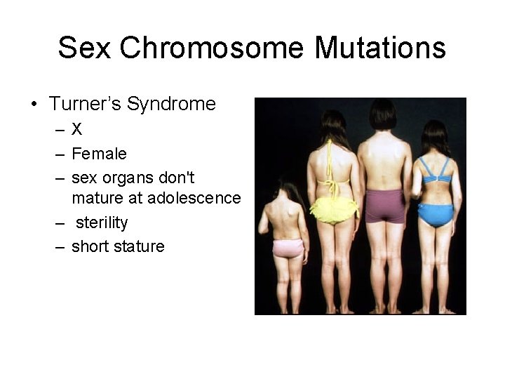 Sex Chromosome Mutations • Turner’s Syndrome –X – Female – sex organs don't mature