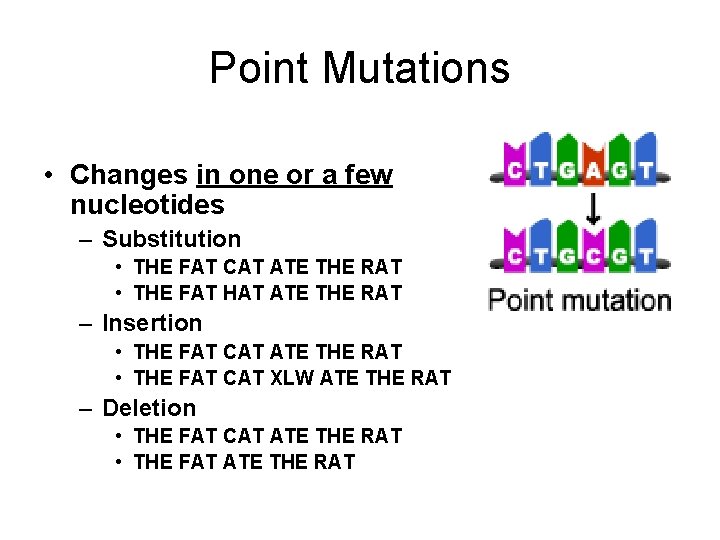 Point Mutations • Changes in one or a few nucleotides – Substitution • THE