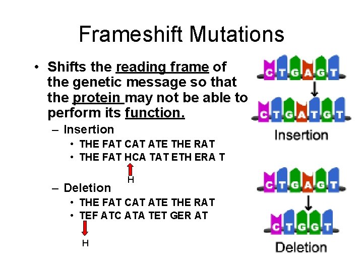 Frameshift Mutations • Shifts the reading frame of the genetic message so that the
