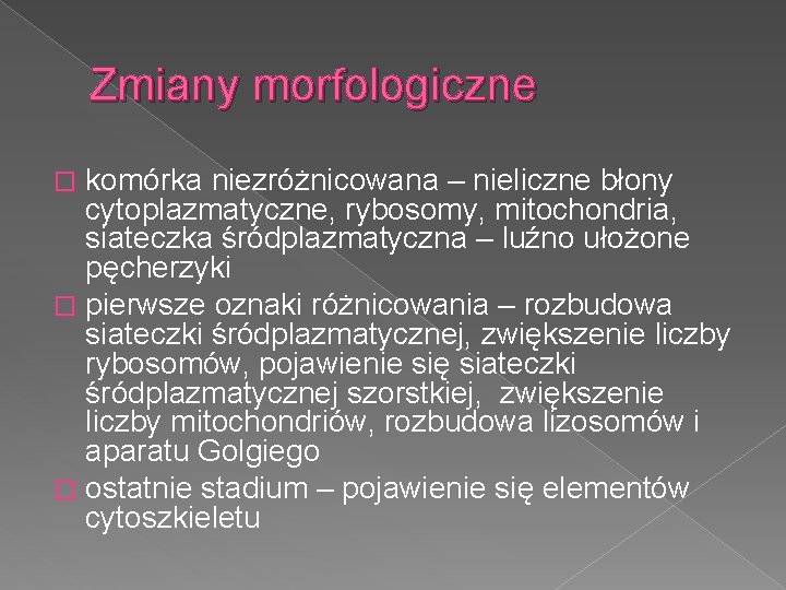 Zmiany morfologiczne komórka niezróżnicowana – nieliczne błony cytoplazmatyczne, rybosomy, mitochondria, siateczka śródplazmatyczna – luźno