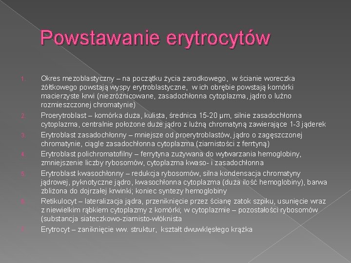 Powstawanie erytrocytów 1. 2. 3. 4. 5. 6. 7. Okres mezoblastyczny – na początku