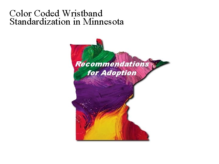 Color Coded Wristband Standardization in Minnesota Recommendations for Adoption 