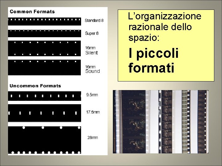 L’organizzazione razionale dello spazio: I piccoli formati L’organizzazione razionale dello spazio: I piccoli formati