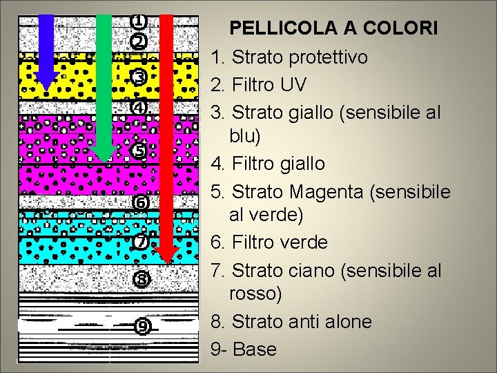 PELLICOLA A COLORI 1. Strato protettivo 2. Filtro UV 3. Strato giallo (sensibile al PELLICOLA A COLORI 1. Strato protettivo 2. Filtro UV 3. Strato giallo (sensibile al