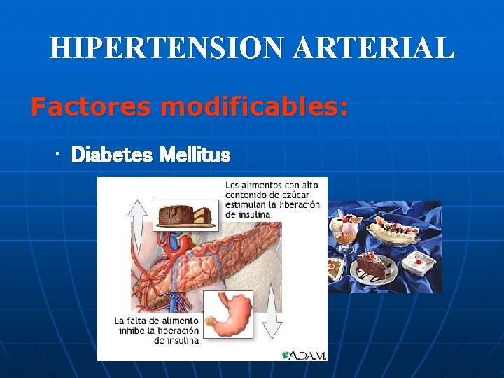 HIPERTENSION ARTERIAL Factores modificables: • Diabetes Mellitus 