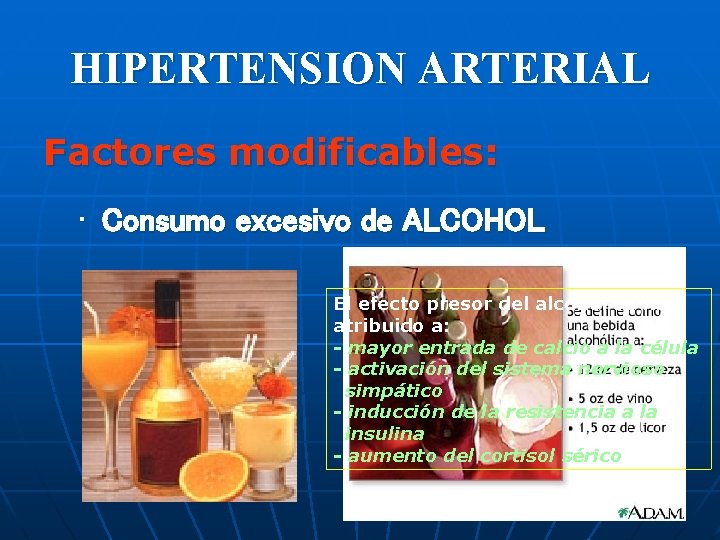 HIPERTENSION ARTERIAL Factores modificables: • Consumo excesivo de ALCOHOL El efecto presor del alcohol