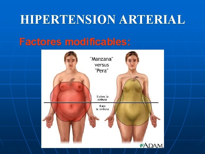 HIPERTENSION ARTERIAL Factores modificables: 