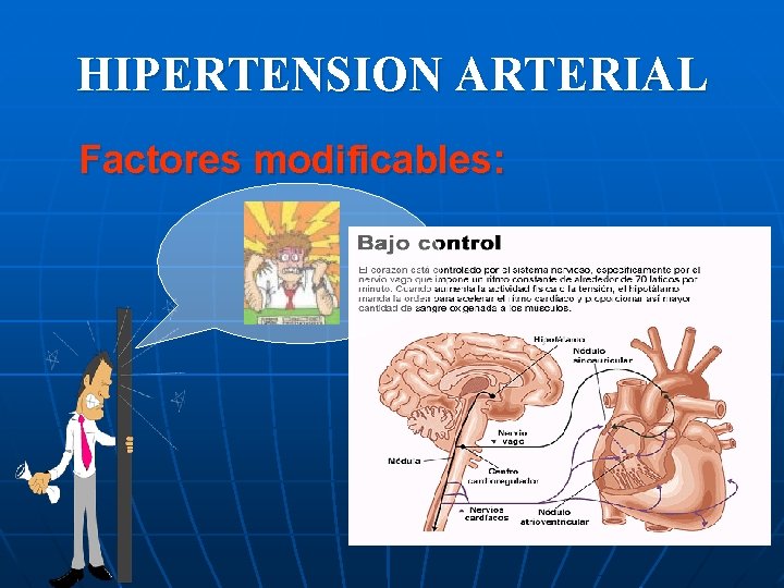 HIPERTENSION ARTERIAL Factores modificables: 