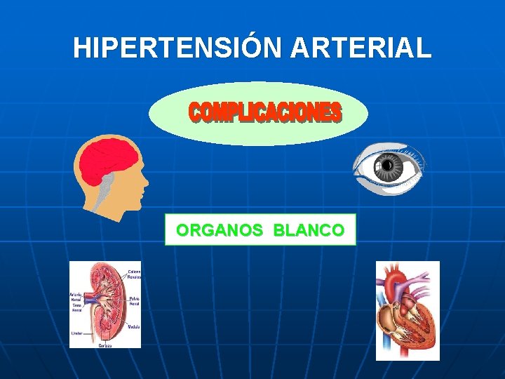 HIPERTENSIÓN ARTERIAL ORGANOS BLANCO 