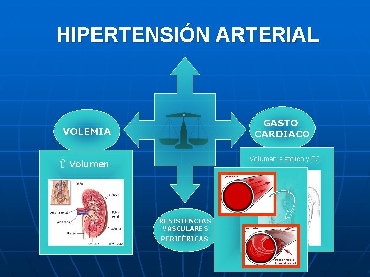 HIPERTENSIÓN ARTERIAL GASTO CARDIACO VOLEMIA Volumen sistólico y FC Volumen RESISTENCIAS VASCULARES PERIFÉRICAS 