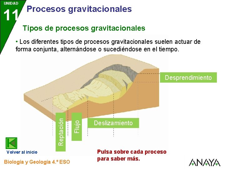 UNIDAD 11 Procesos gravitacionales Tipos de procesos gravitacionales • Los diferentes tipos de procesos UNIDAD 11 Procesos gravitacionales Tipos de procesos gravitacionales • Los diferentes tipos de procesos