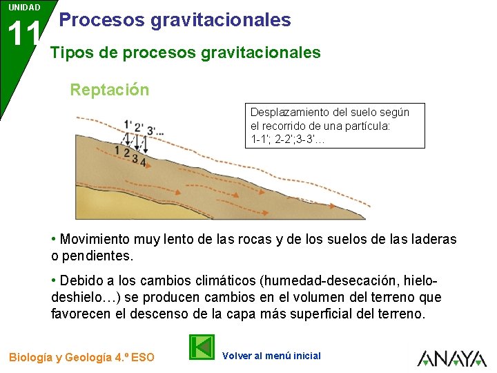 UNIDAD Procesos gravitacionales 11 Tipos de procesos gravitacionales Reptación Desplazamiento del suelo según el UNIDAD Procesos gravitacionales 11 Tipos de procesos gravitacionales Reptación Desplazamiento del suelo según el