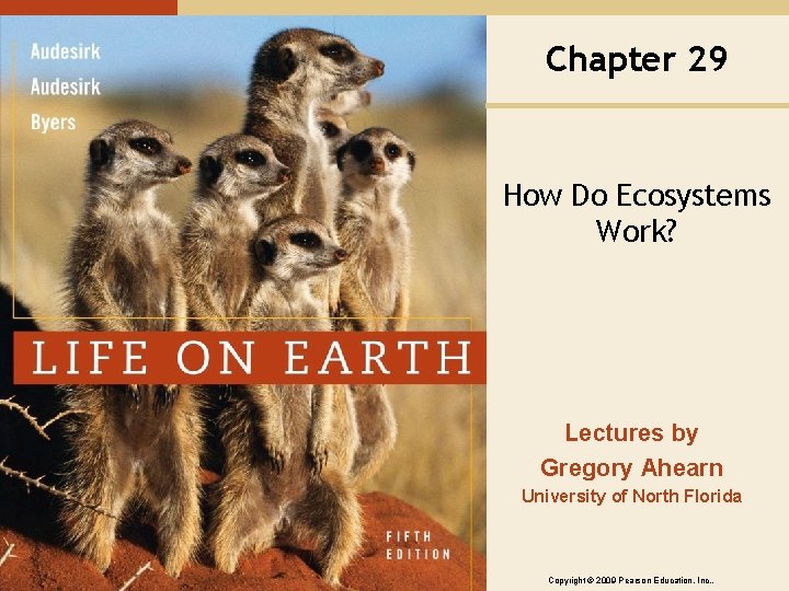 Chapter 29 How Do Ecosystems Work? Lectures by Gregory Ahearn University of North Florida