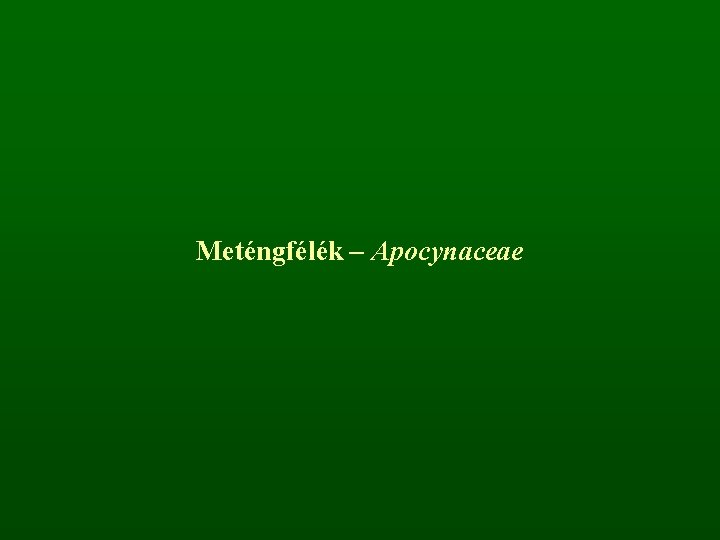 Meténgfélék – Apocynaceae 
