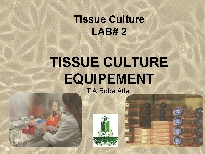 Tissue Culture LAB# 2 TISSUE CULTURE EQUIPEMENT T. A Roba Attar T. A. Roba