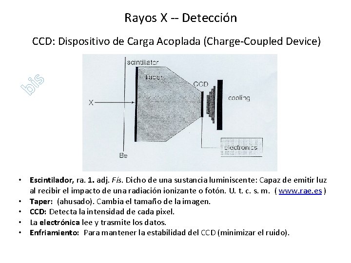 Rayos X -- Detección bi s CCD: Dispositivo de Carga Acoplada (Charge-Coupled Device) • Rayos X -- Detección bi s CCD: Dispositivo de Carga Acoplada (Charge-Coupled Device) •